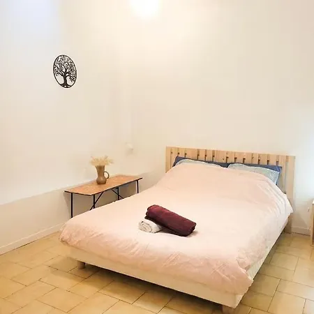L'artiste Spacieux T3 Au Centre Avec Petit Garage Apartment *
